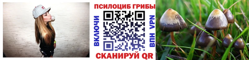 Псилоцибиновые грибы мухоморы  нарко площадка какой сайт  Тимашёвск 